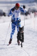 Lenk 2013